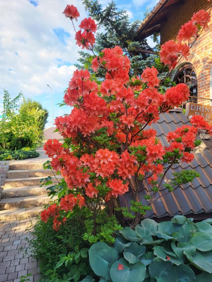 Bed and Breakfast Osrodek Wypoczynkowy Crystal Polańczyk Exterior foto